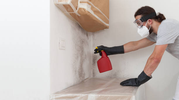 Professional Crawl Space Mold Remediation technician working in Hopkins, MI